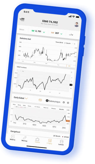 Baia Investix applicazione web digitale su dispositivo mobile